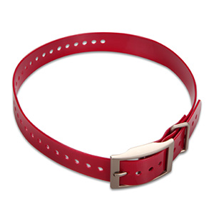 Hundehalsband Rot (2,5 cm)